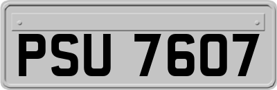 PSU7607