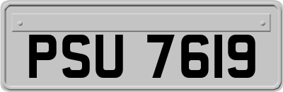 PSU7619