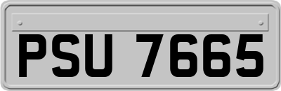 PSU7665