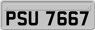 PSU7667