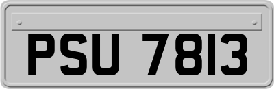 PSU7813