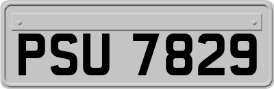 PSU7829