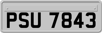 PSU7843