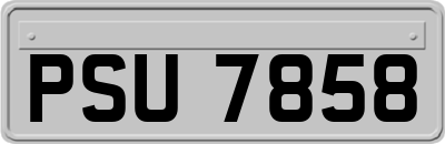 PSU7858
