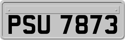 PSU7873