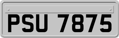 PSU7875