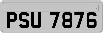 PSU7876