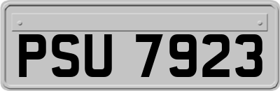 PSU7923