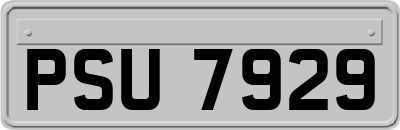 PSU7929