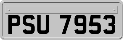 PSU7953