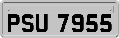 PSU7955