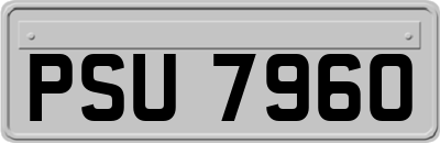 PSU7960