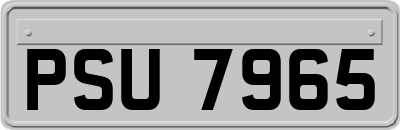 PSU7965