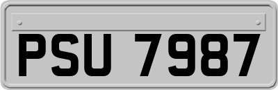 PSU7987