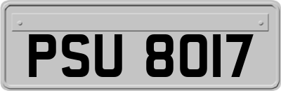 PSU8017