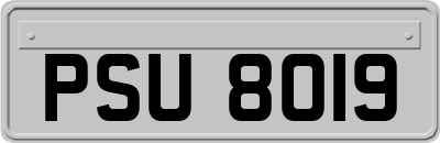 PSU8019