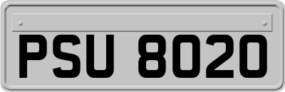 PSU8020
