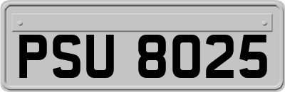 PSU8025