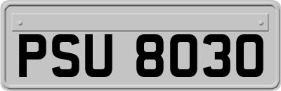 PSU8030