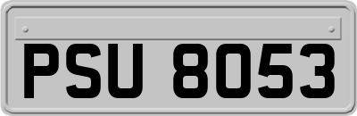 PSU8053