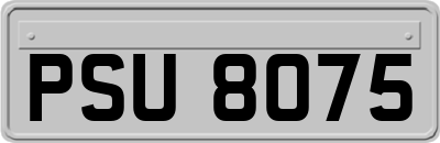 PSU8075
