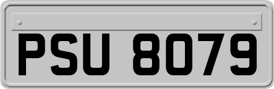 PSU8079