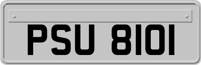 PSU8101