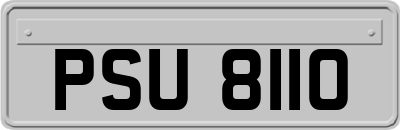 PSU8110