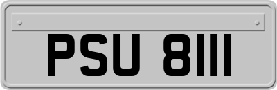 PSU8111