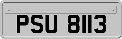 PSU8113