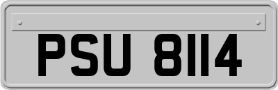 PSU8114
