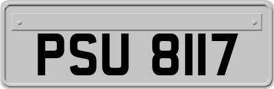 PSU8117