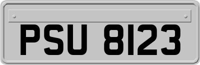 PSU8123