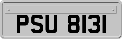 PSU8131