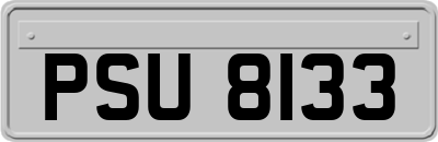 PSU8133