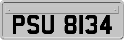 PSU8134