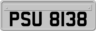 PSU8138