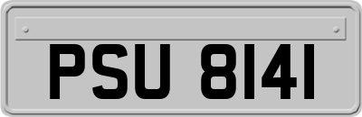 PSU8141