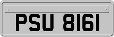 PSU8161
