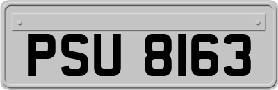 PSU8163