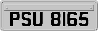 PSU8165