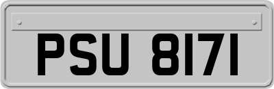 PSU8171