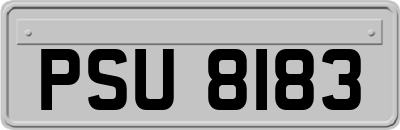 PSU8183