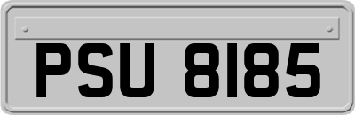 PSU8185
