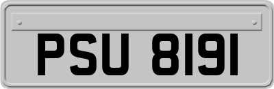 PSU8191