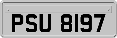 PSU8197