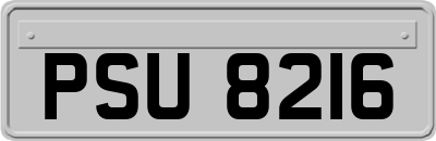 PSU8216