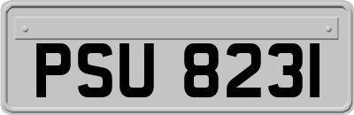 PSU8231
