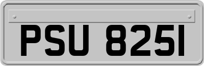 PSU8251