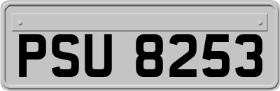 PSU8253
